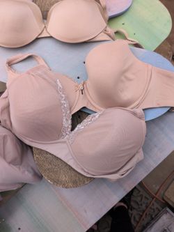 36d Maidenform Bras