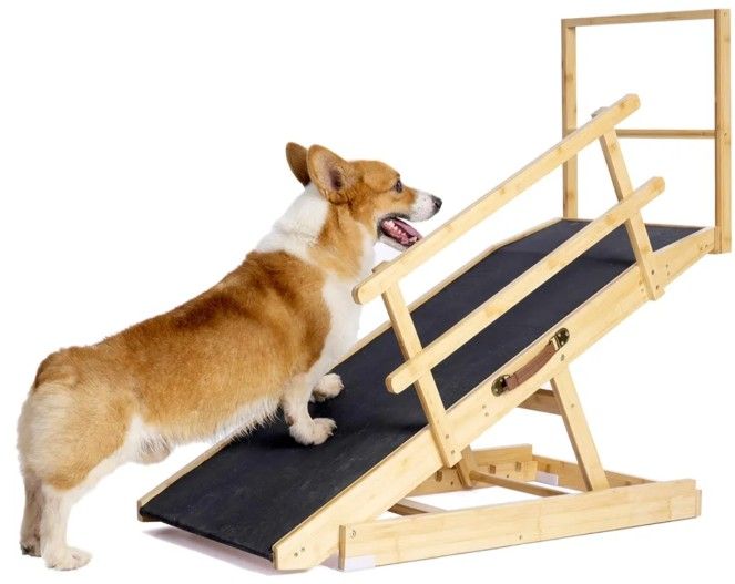 Dog Ramp