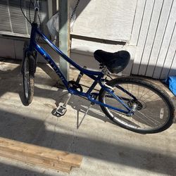 Raleigh Bike