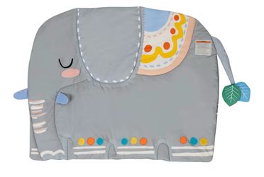Baby Play Gym