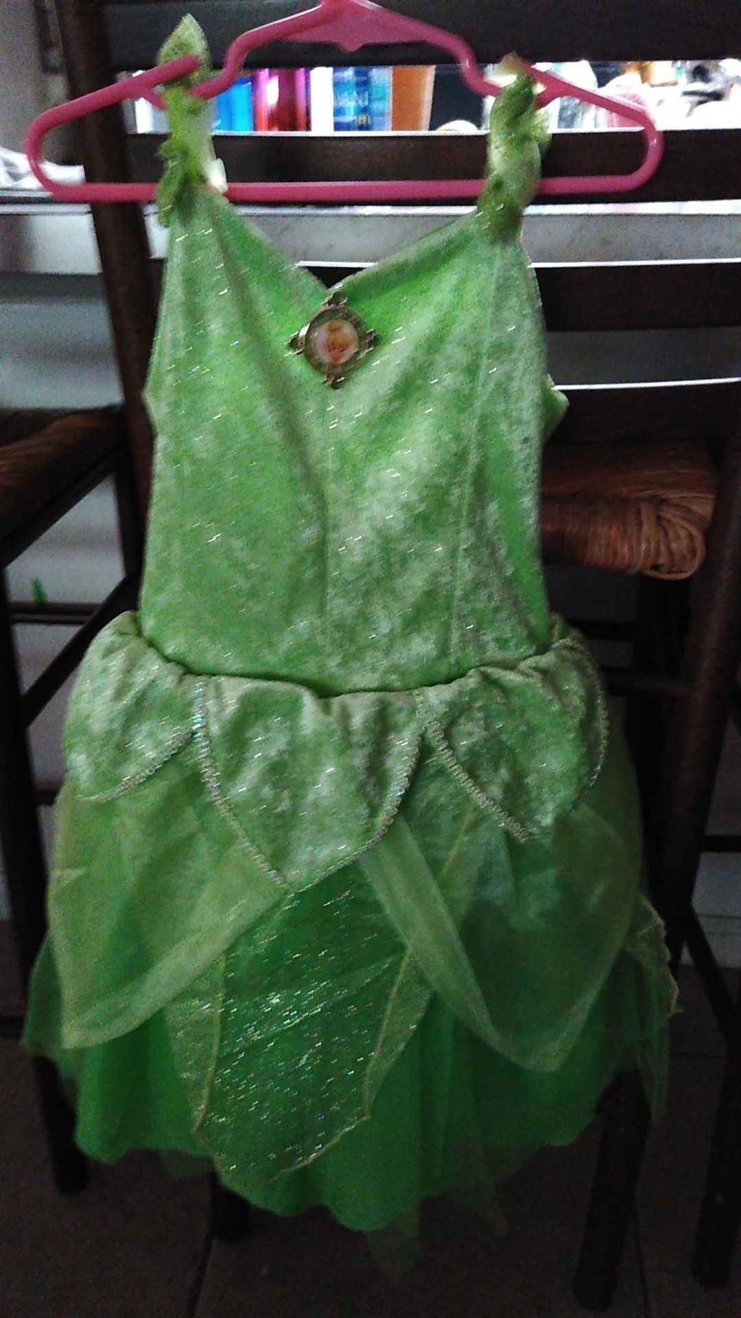 Disney Tinkerbell Dress