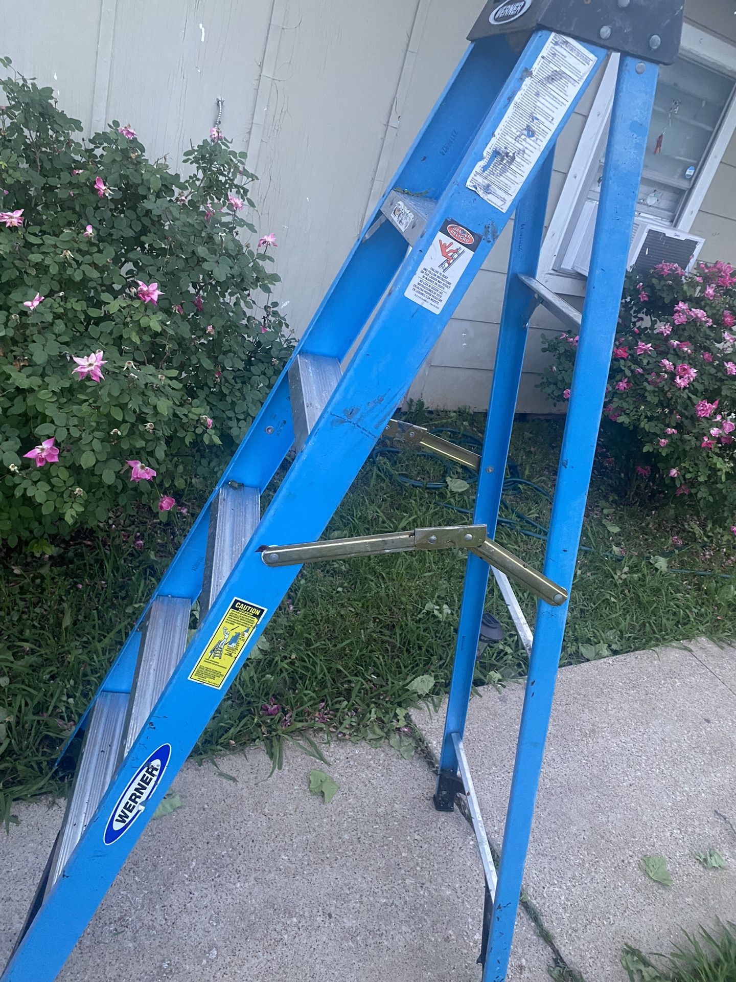 6ft Ladder