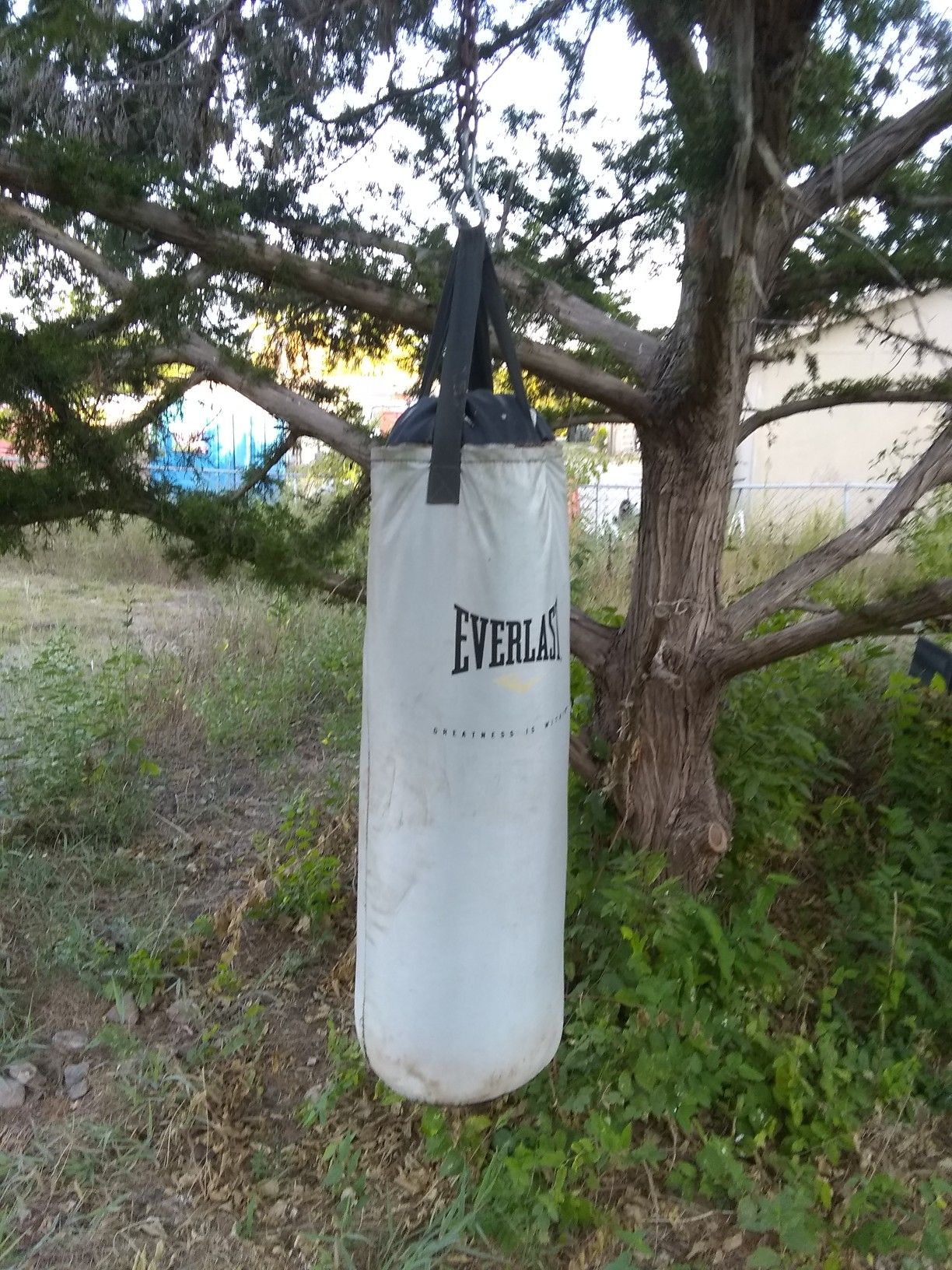 Everlast punching bag w/14oz gloves