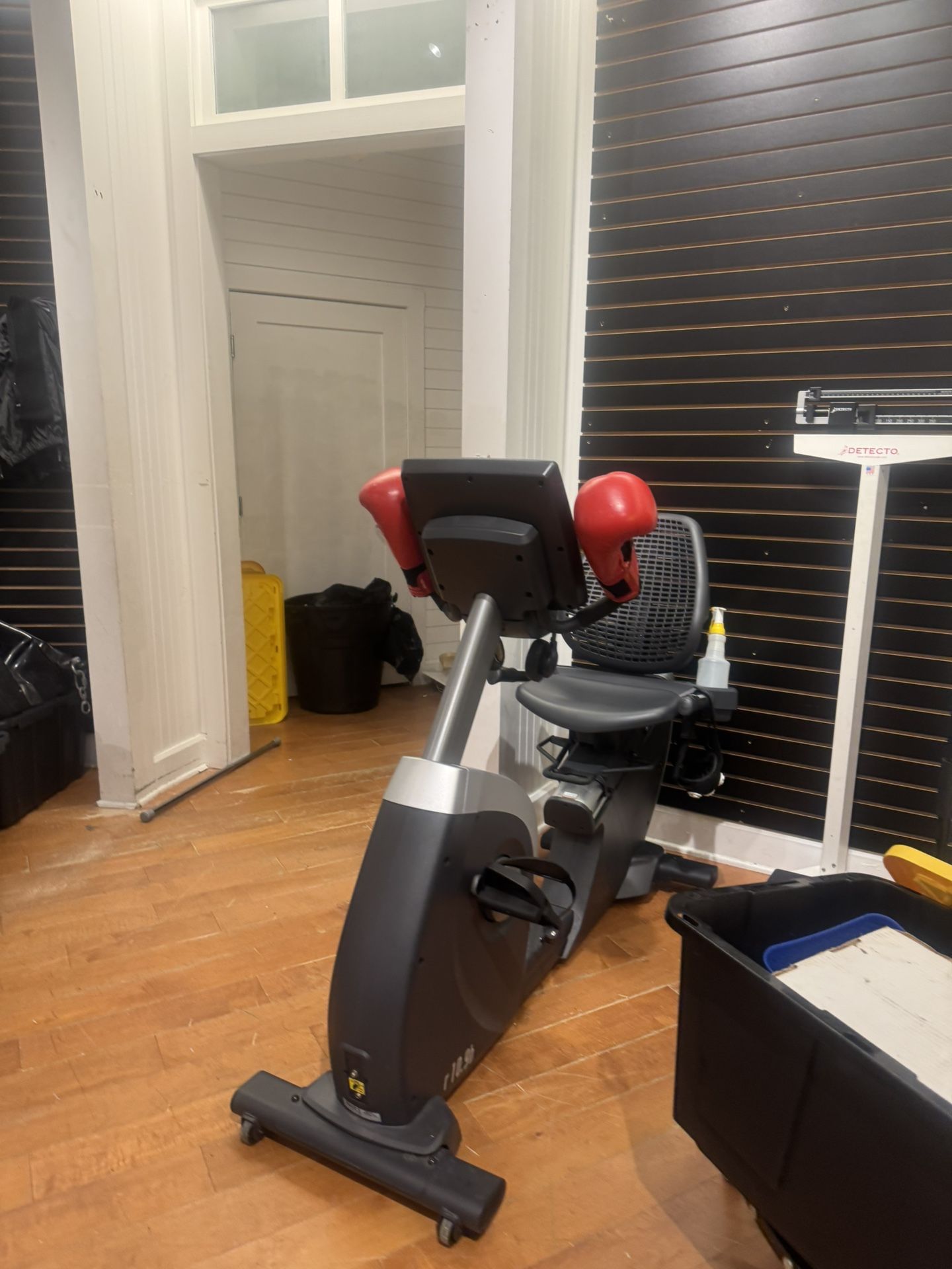recumbent exercise bike,