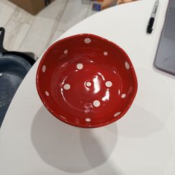 Raised Feeding Bowl for dogs/cats