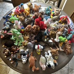 Ultimate Ty Beanie Baby Collection - 48 Total Pcs - Rare Tags, Vintage Plush, Collector Grade Lot