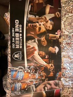Budlight Raiders banner