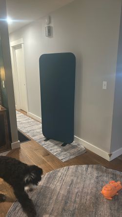 ****Room/Space Divider****