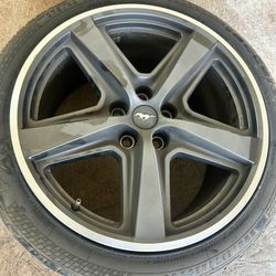 Ford Mustang Mach1 Style R19