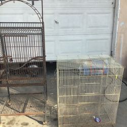Bird Cages 
