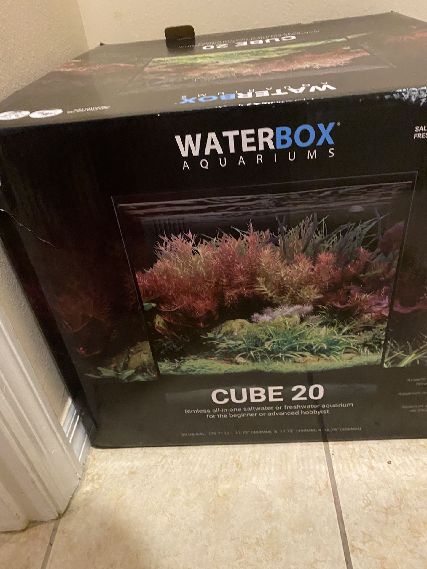 Water Box Aquariam