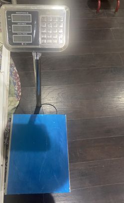 Leadzm Scale 300kg/600lb
