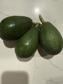 Organic Avocado