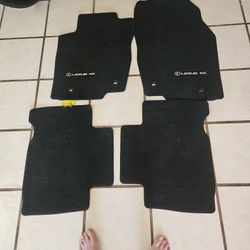 Lexus Nx Floor Mats In Great Sshape