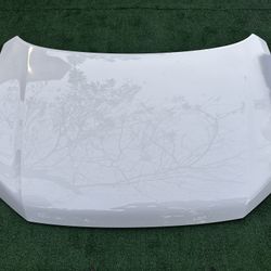 Honda Pilot Hood Capo 2023 2024 2025