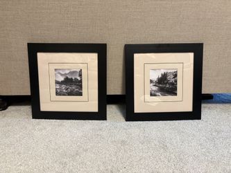 Pair of 2 black framed nature prints - matted