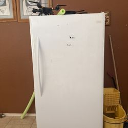 Frigidaire 16.6 Cu. Ft. Upright Freezer