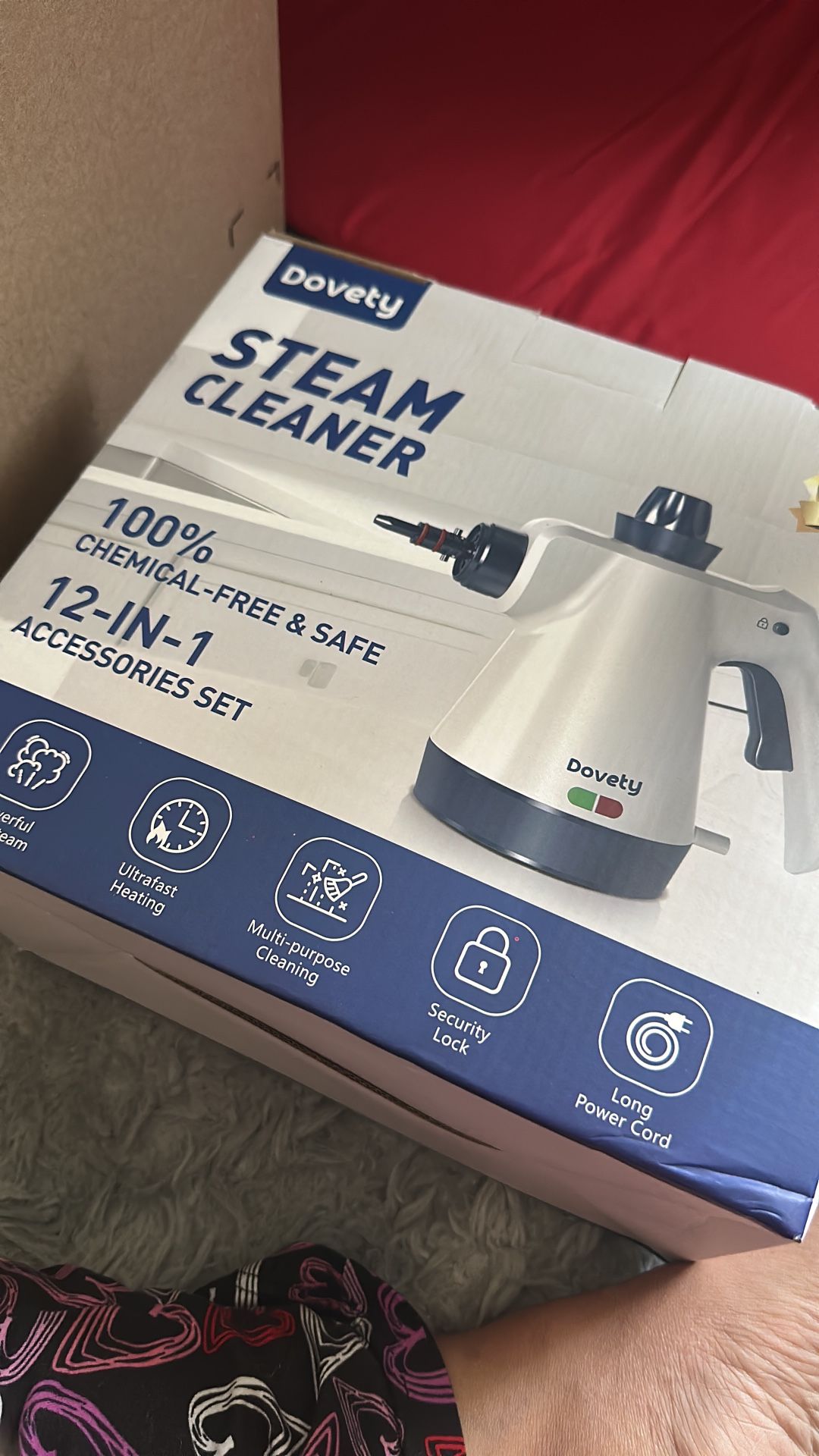 Steam Cleaner