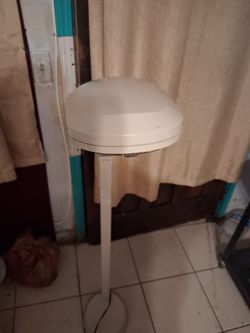 Lanparita bonita
