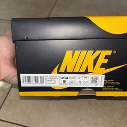 Air Jordan 1 Retro High OG Pollen, Size 9M