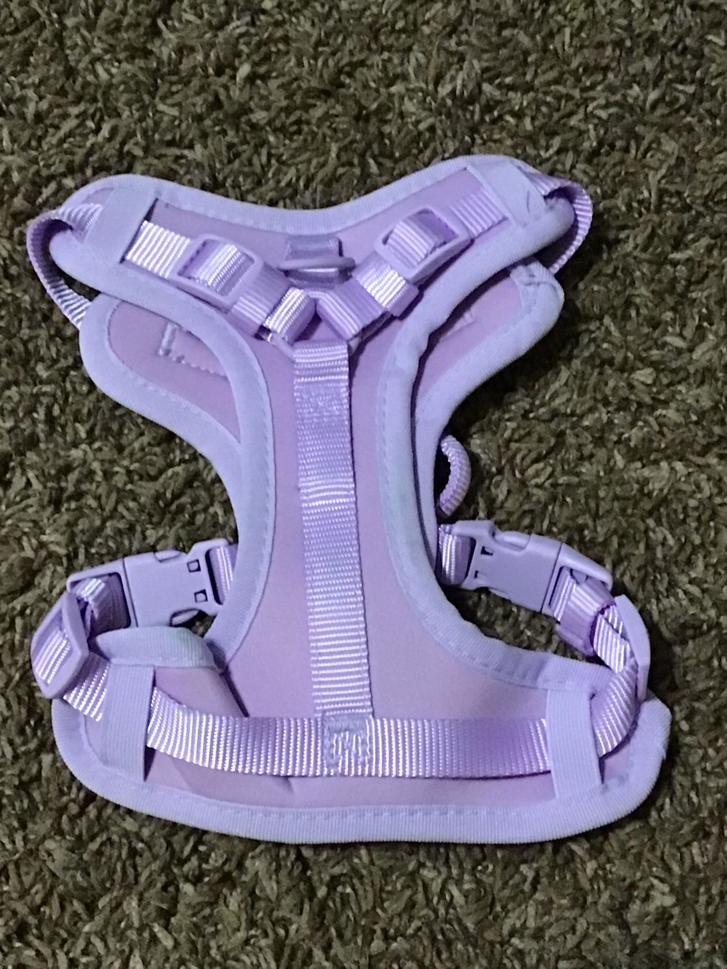 XS Purple Dog Harnesses