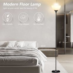 Black Floor Lamp 