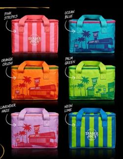 Trader’s Joe new insulated bag
