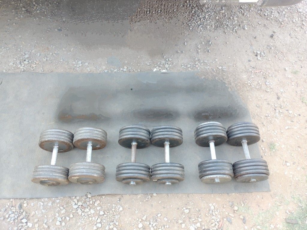 Prostyle Dumbbells 550lbs