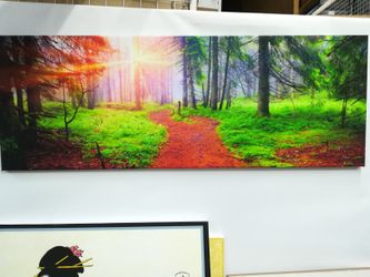Beautiful sunrise in forest