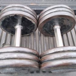 Pair Of 65 Lb Pro Style Dumbbells  W Hex Handle Grips- 130 Lbs Total Weights