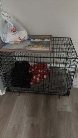 Big dog crate