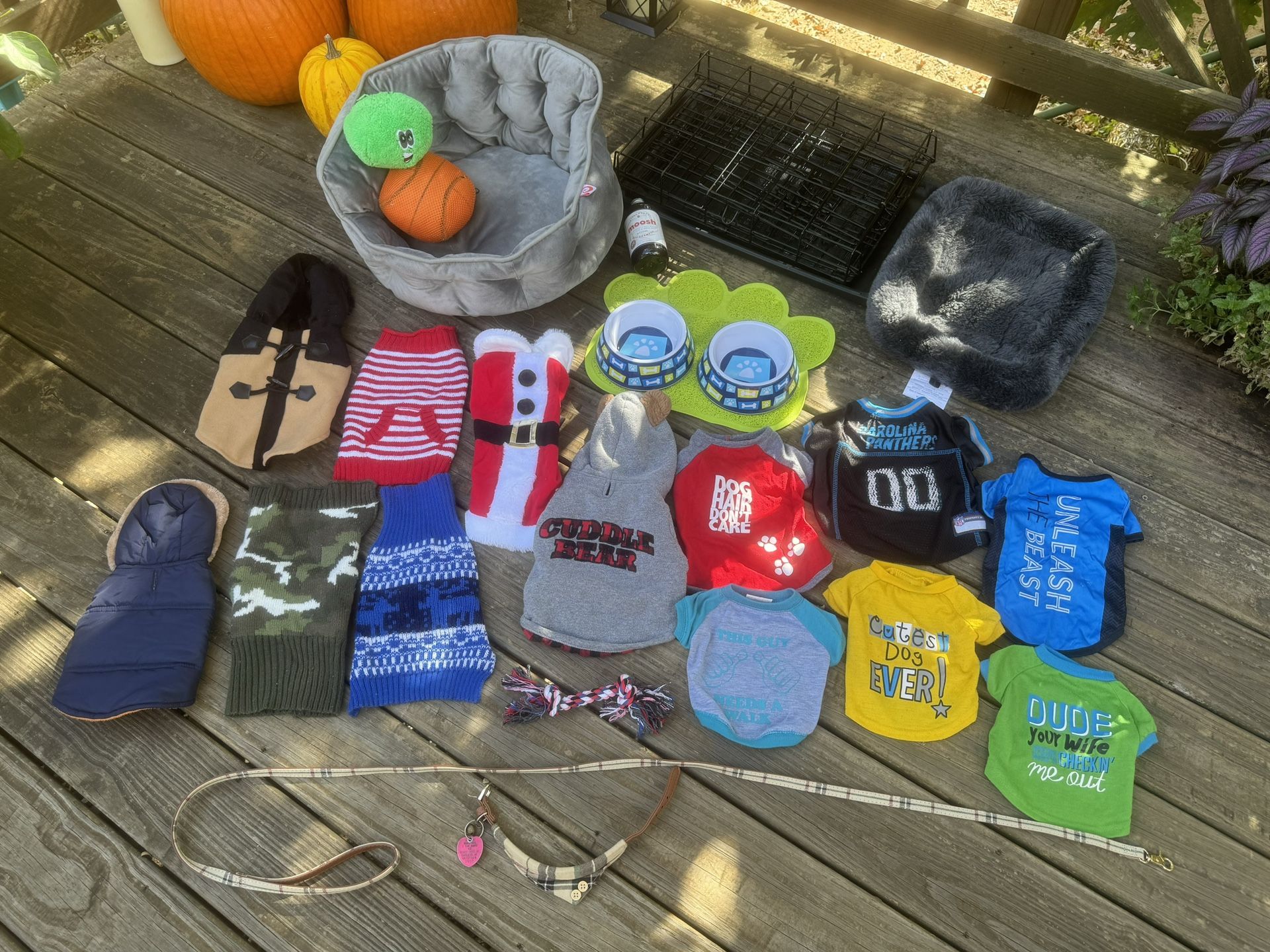 Assortment of Small Dog Items For Sale