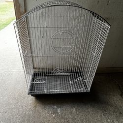 Birds Cage 