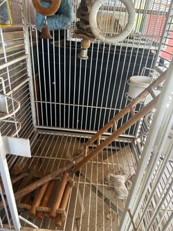 Bird cage