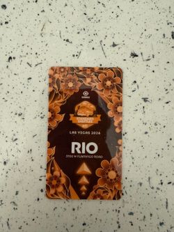 EDC Rio Shuttle Pass