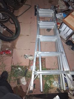 Gorilla ladder