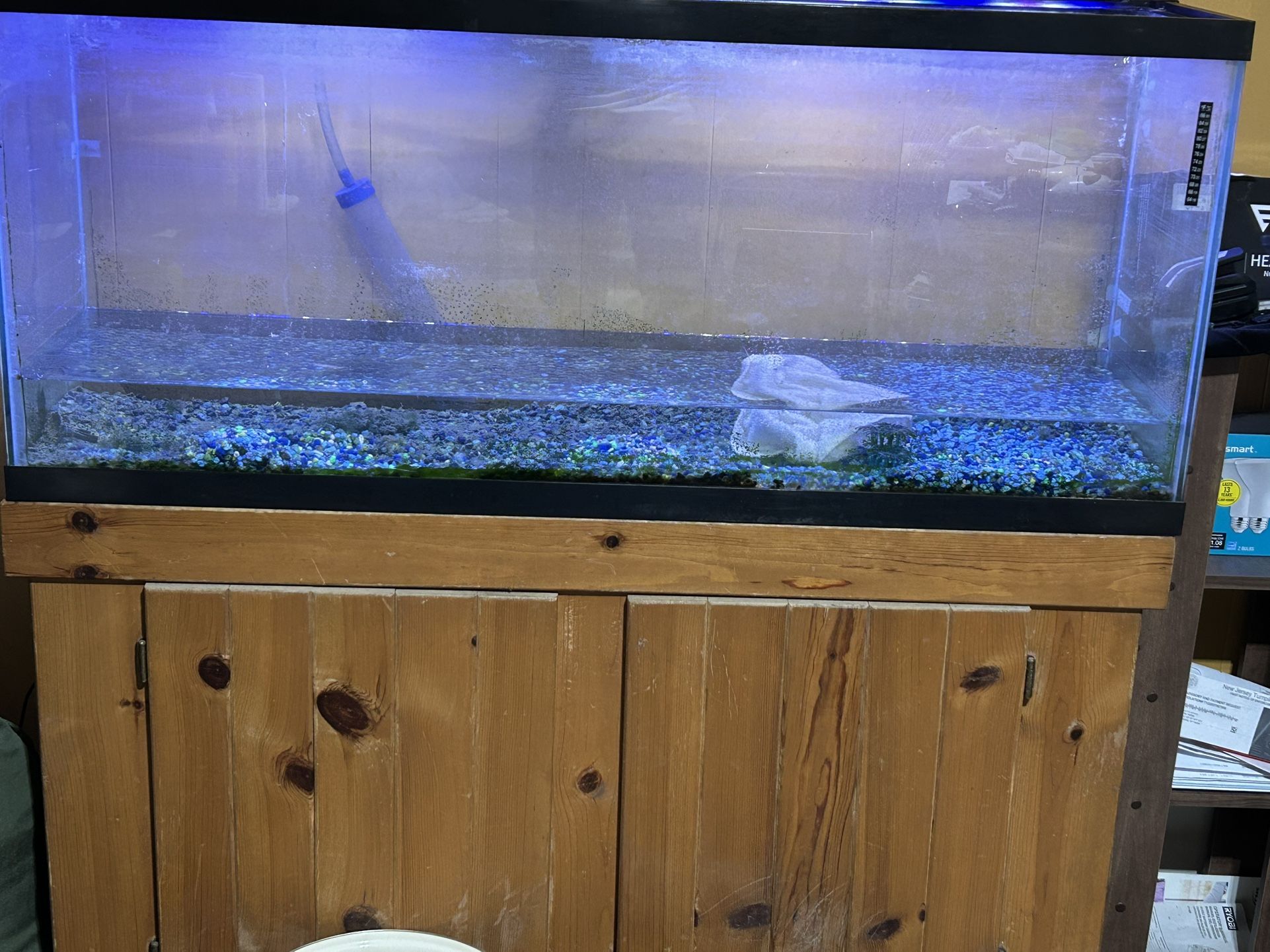 55 Gal Fish Tank With Custom Made Stand