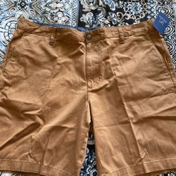 Stretch Flat Front Shorts, Brown Color