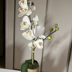 Fake Flower/ Home Decor *GREAT CONDITION*