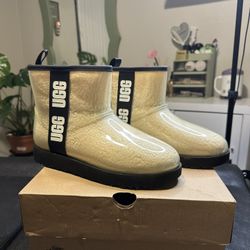ugg mini boots 