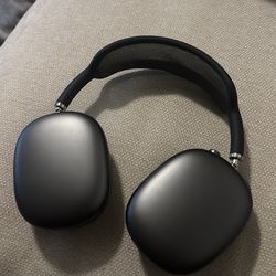 Apple Headphones