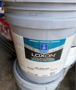 PAINT oSherwin Williams Loxon Concrete & Masonry Primer 5 Gal (Sellador)
