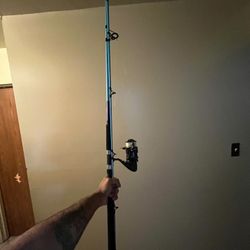 Shakespeare Fishing Rod
