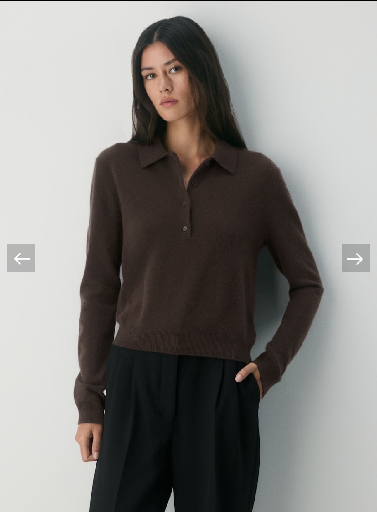 Aritzia Bare Cashmere Polo Long Sleeve Sweater Rich Mocha Brown