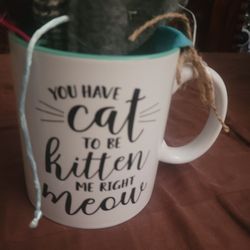 Large Cat Lover Mug With Cat Toys