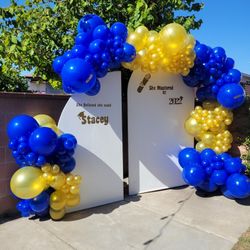 Balloons Decorations 🎈 