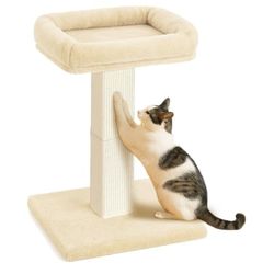 Rascador para gatos