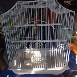 Bird Cage