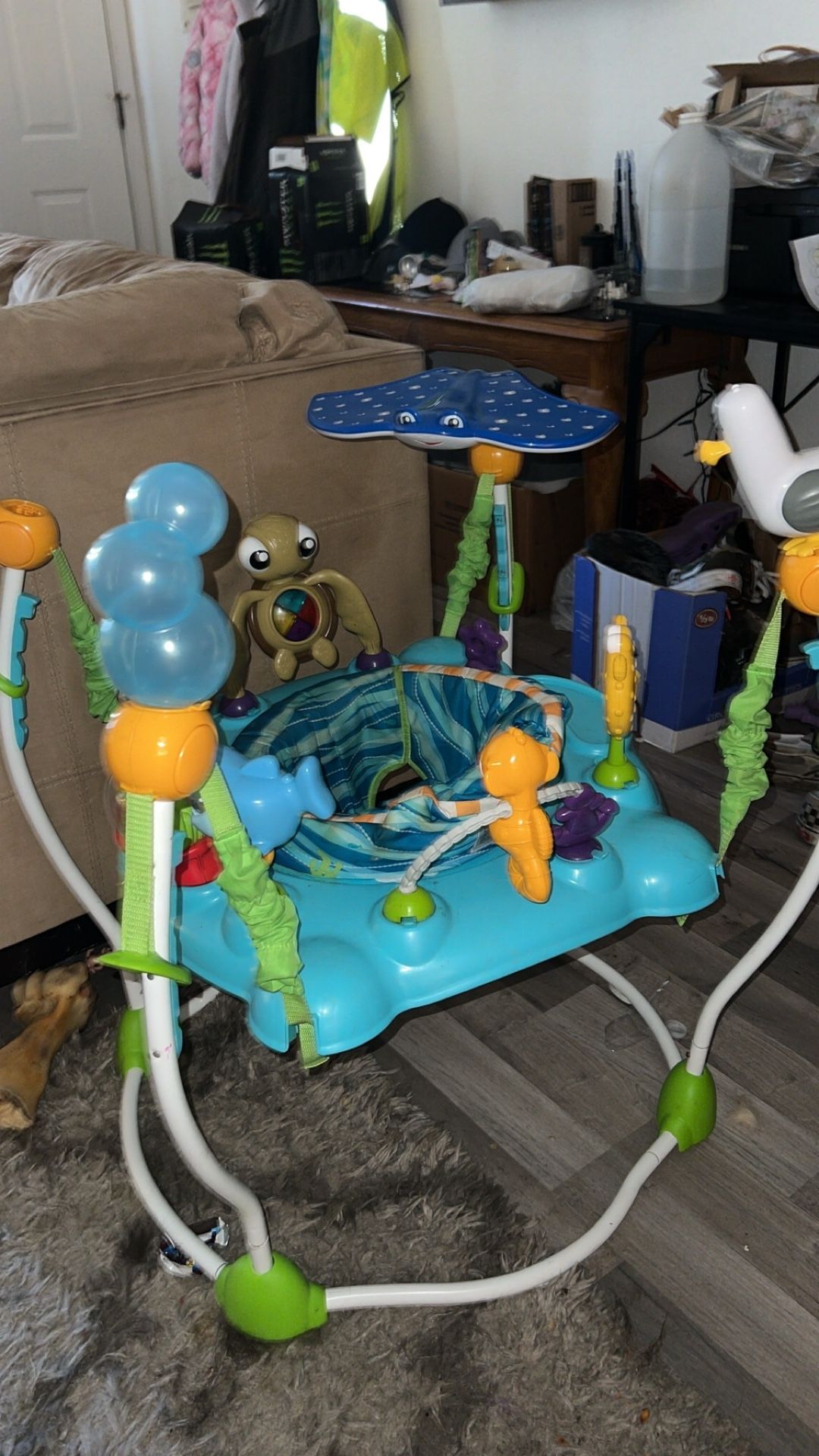 Baby Bouncer 