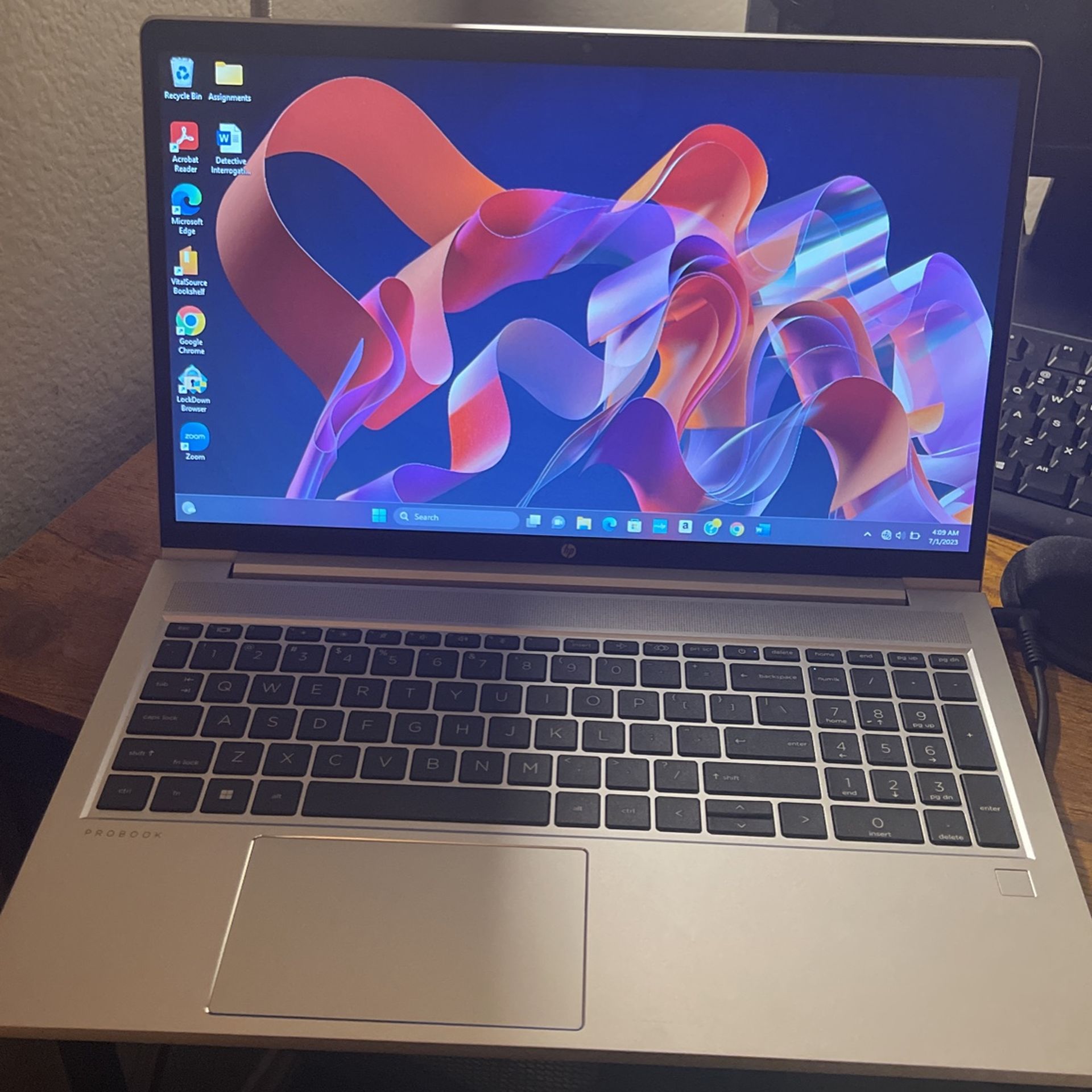 HP PROBOOK 455 15.9 inch 